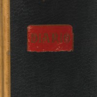 Cubierta del Libro Diario del Laboratorio de Mineralogía del Museo de Ciencias Naturales (18 septiembre 1905-10 julio 1936), AGUCM, 161/19-1.