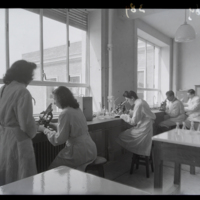 Laboratorio de la Facultad de Farmacia. [1940-1950]. Fotógrafo: Castellanos