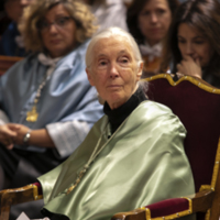 La primatóloga Jane Goodall en la ceremonia de investidura como doctora honoris causa