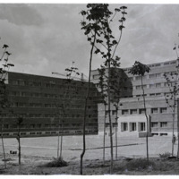 Fachada principal de la Facultad de Ciencias, Sección de  Químicas. [1940-1950]. Fotógrafo: Castellanos